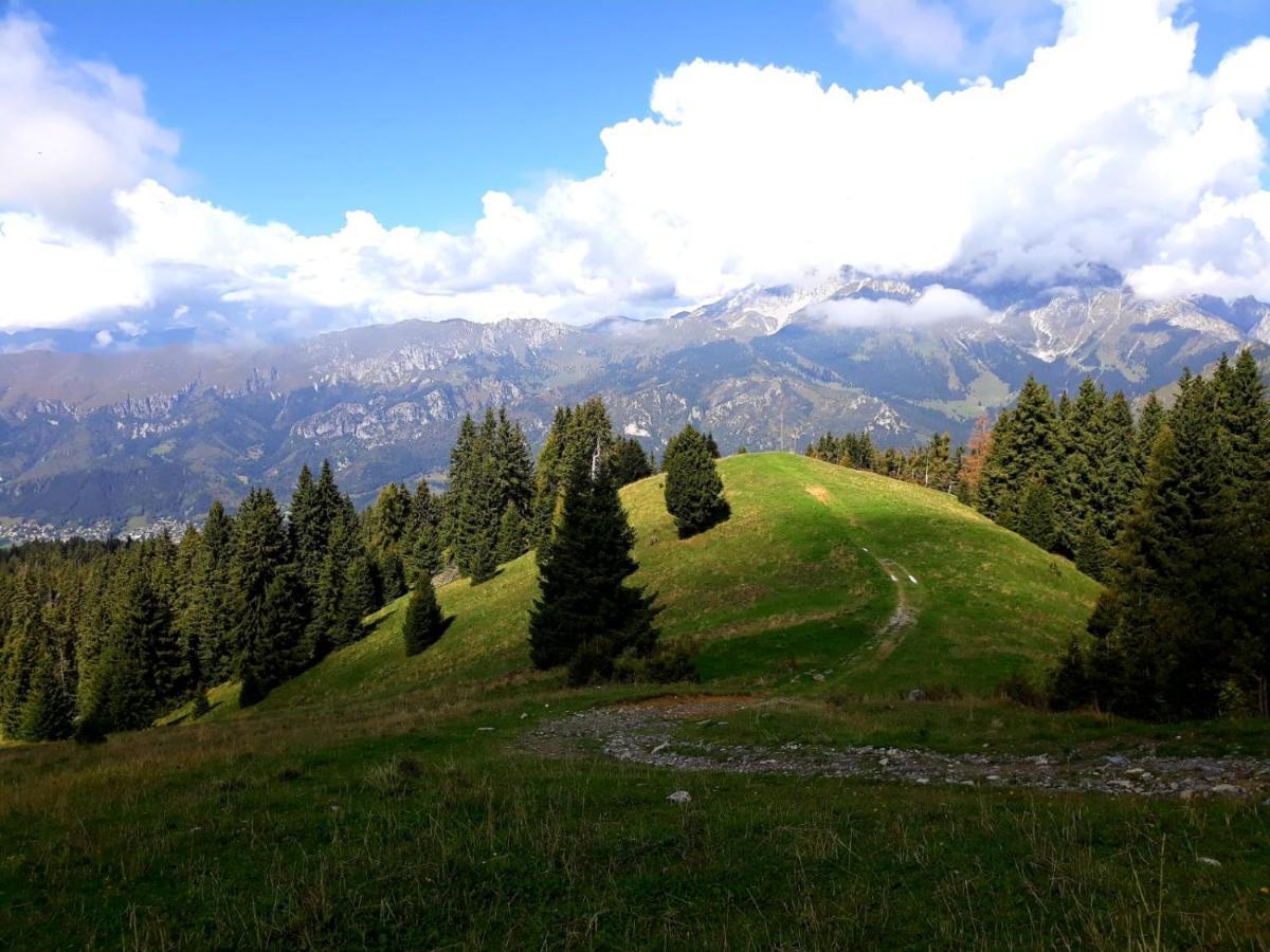 181 - Casa Arcobaleno Tra Le Alpi, Piste Da Sci A 15 Minuti Apartment กัสตีโอเน เดลลา เปรโซลานา ภายนอก รูปภาพ